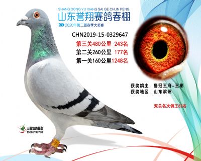 2020年誉翔243 副本
