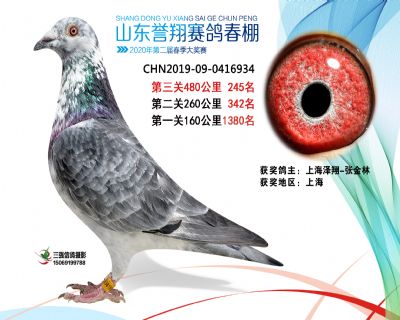 2020年誉翔245 副本