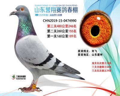2020年誉翔246 副本
