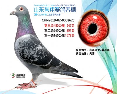 2020年誉翔247 副本
