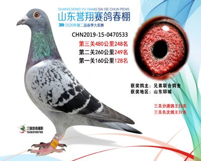 2020年誉翔248 副本