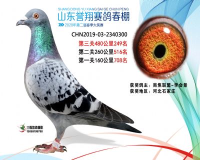 2020年誉翔249 副本