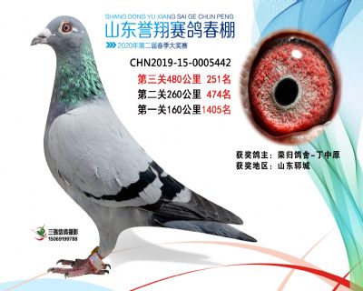 2020年誉翔251 副本
