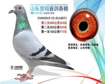 2020年誉翔253 副本