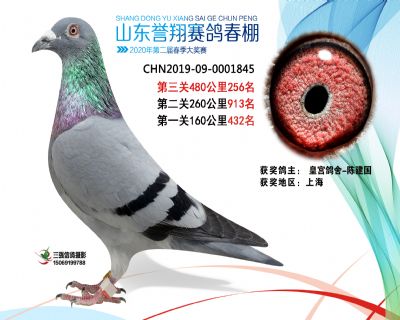 2020年誉翔256 副本
