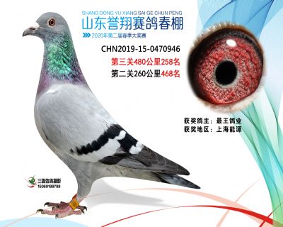 2020年誉翔258 副本