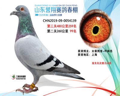2020年誉翔259 副本