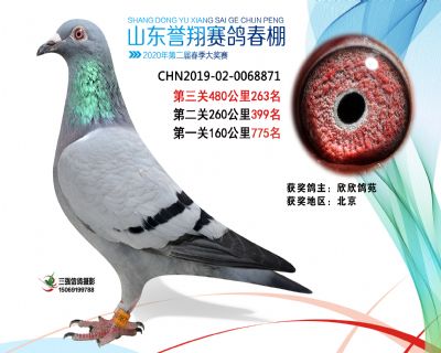 2020年誉翔263 副本