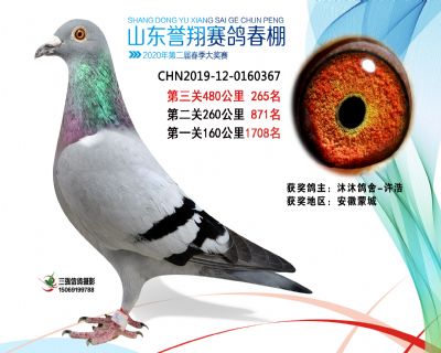 2020年誉翔265 副本