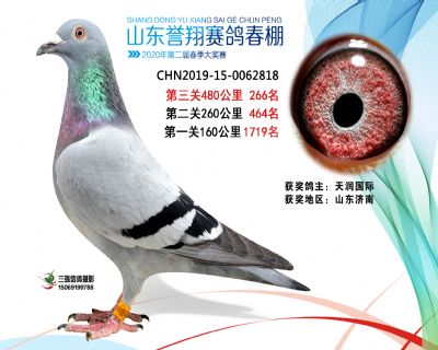 2020年誉翔266 副本