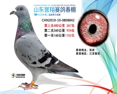 2020年誉翔267 副本