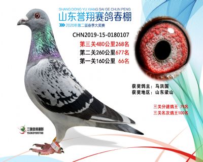 2020年誉翔268 副本