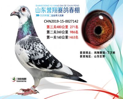 2020年誉翔271 副本