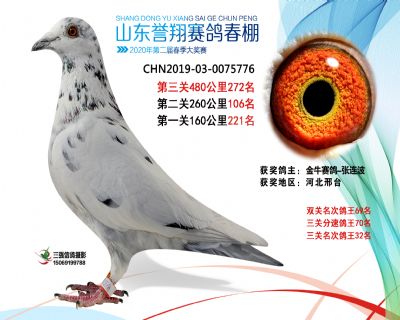 2020年誉翔272 副本