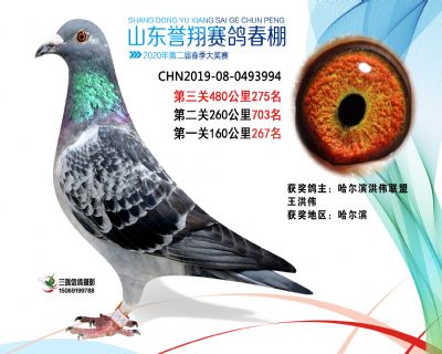 2020年誉翔275 副本