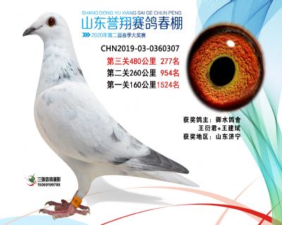2020年誉翔277 副本