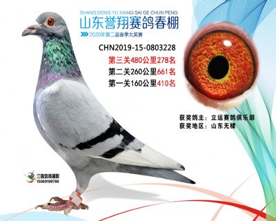 2020年誉翔278 副本