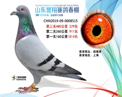2020年誉翔279