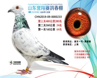 2020年誉翔280 副本