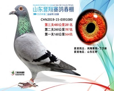 2020年誉翔281 副本