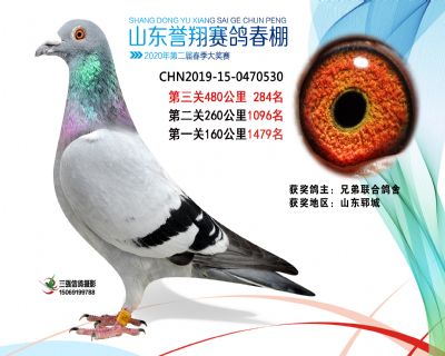 2020年誉翔284 副本
