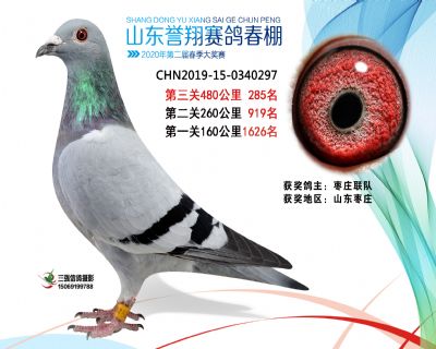 2020年誉翔285 副本