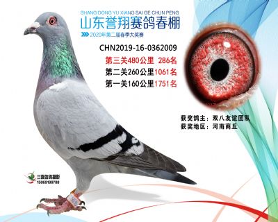 2020年誉翔286 副本