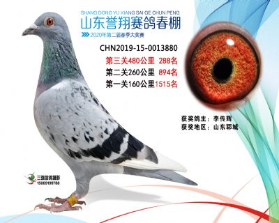 2020年誉翔288 副本