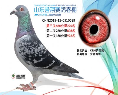 2020年誉翔290 副本