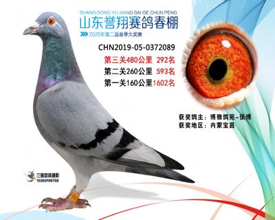 2020年誉翔292