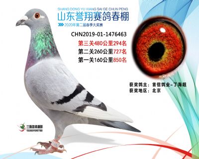 2020年誉翔294 副本