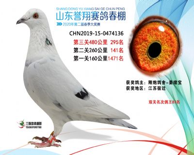 2020年誉翔295 副本