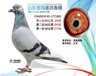 2020年誉翔296 副本