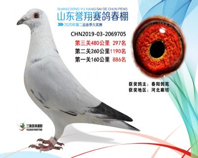 2020年誉翔297 副本