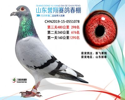 2020年誉翔298 副本