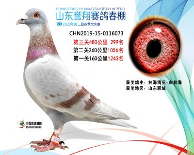 2020年誉翔299 副本