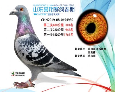 2020年誉翔301 副本