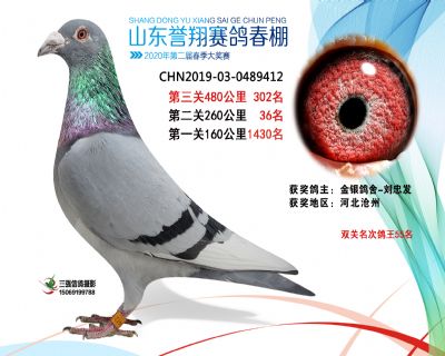 2020年誉翔302 副本
