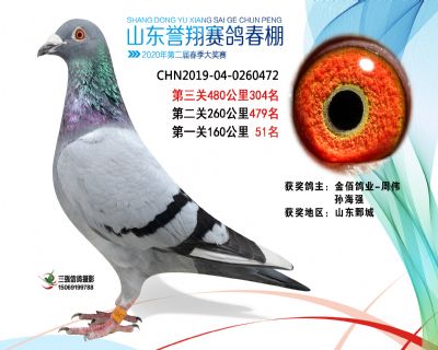 2020年誉翔304 副本