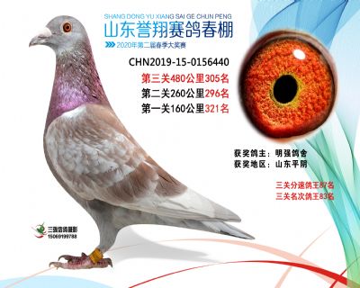 2020年誉翔305 副本