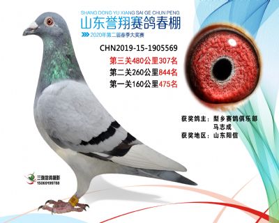 2020年誉翔307 副本