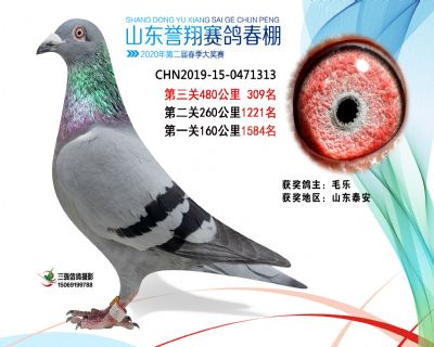 2020年誉翔309 副本