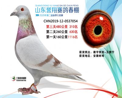 2020年誉翔310 副本