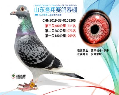 2020年誉翔311 副本