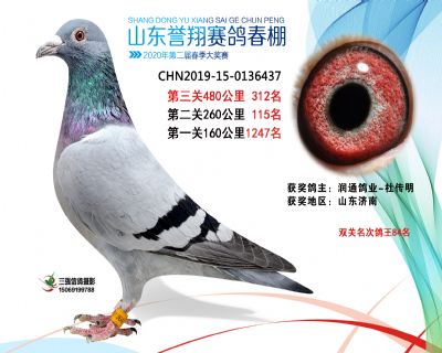 2020年誉翔312 副本