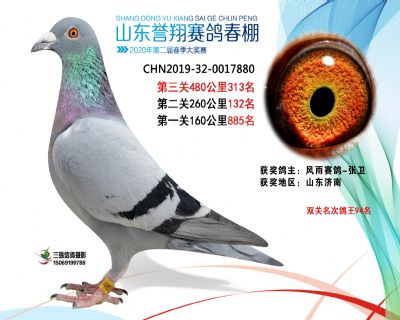 2020年誉翔313 副本