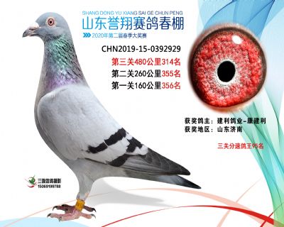 2020年誉翔314 副本