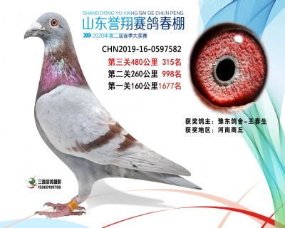 2020年誉翔315 副本