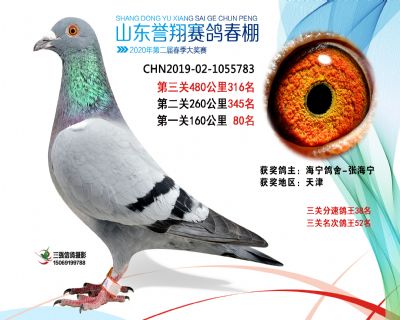 2020年誉翔316 副本