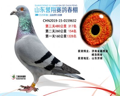 2020年誉翔317